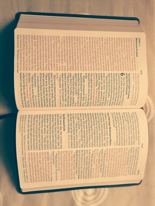 bible pic