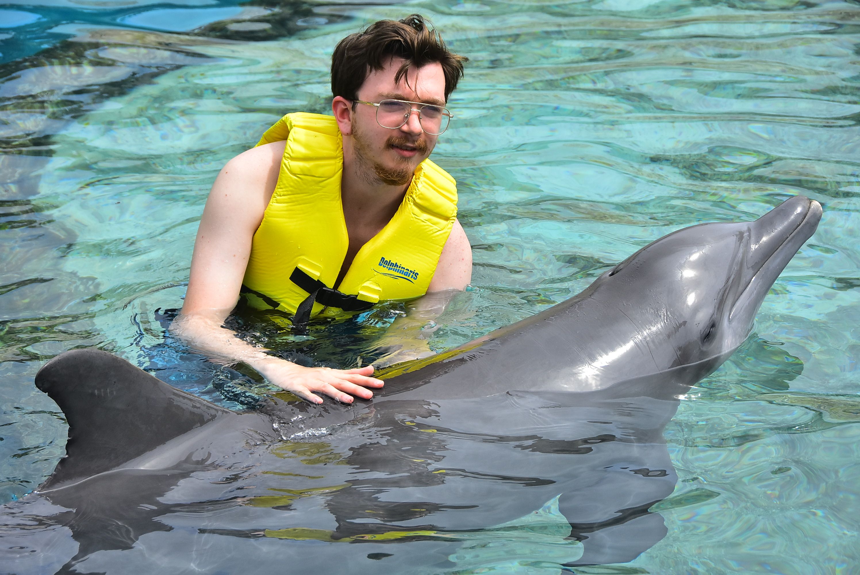 a dolphin